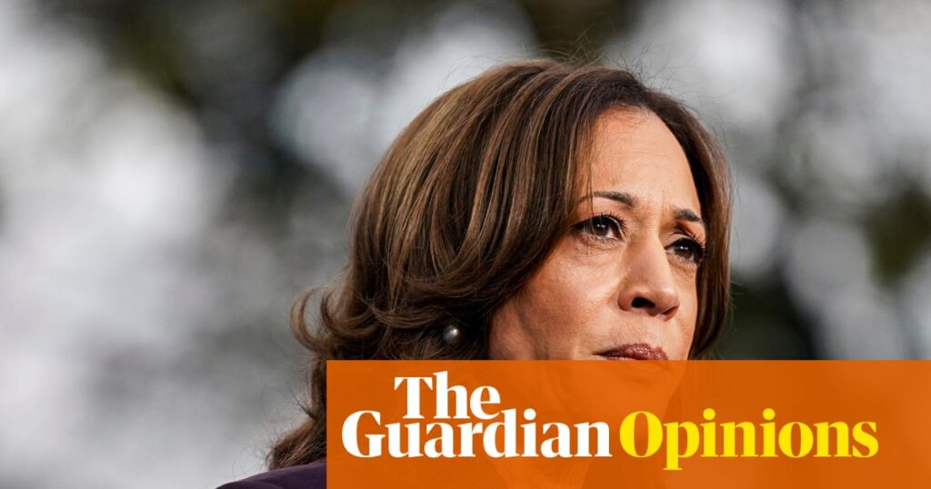 The Democrats are in deep trouble in the US – and Labour is on the way to joining them | Nesrine Malik