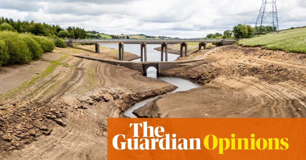 The Guardian view on water boss’s undisclosed bonus: Labour won’t fix a system it won’t confront | Editorial