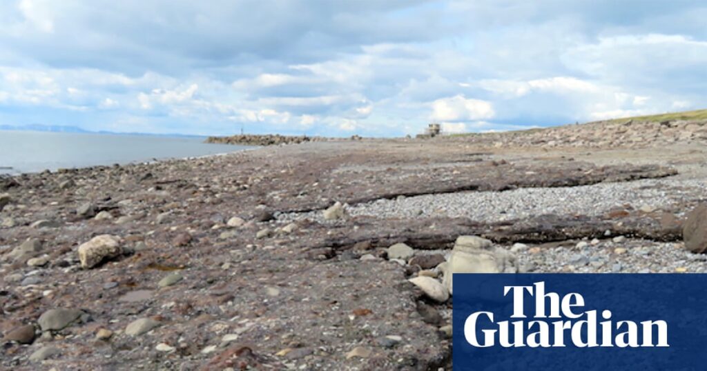 Think rocks take millions of years to form? Wrong: it could be just decades | Geology