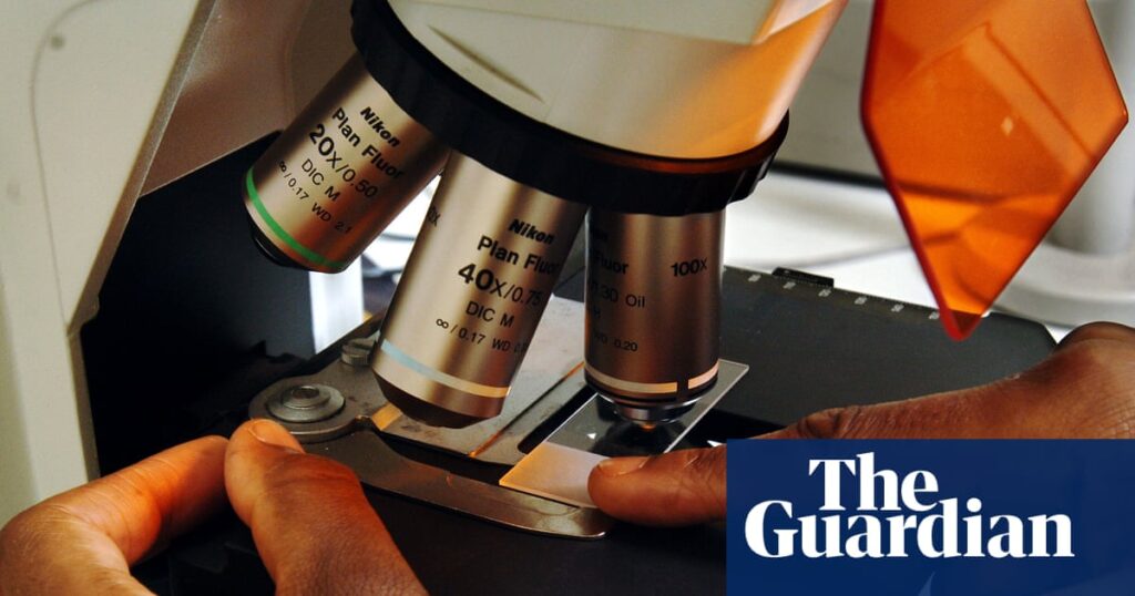 UK recovers position in EU’s Horizon Europe science research programme | Science policy