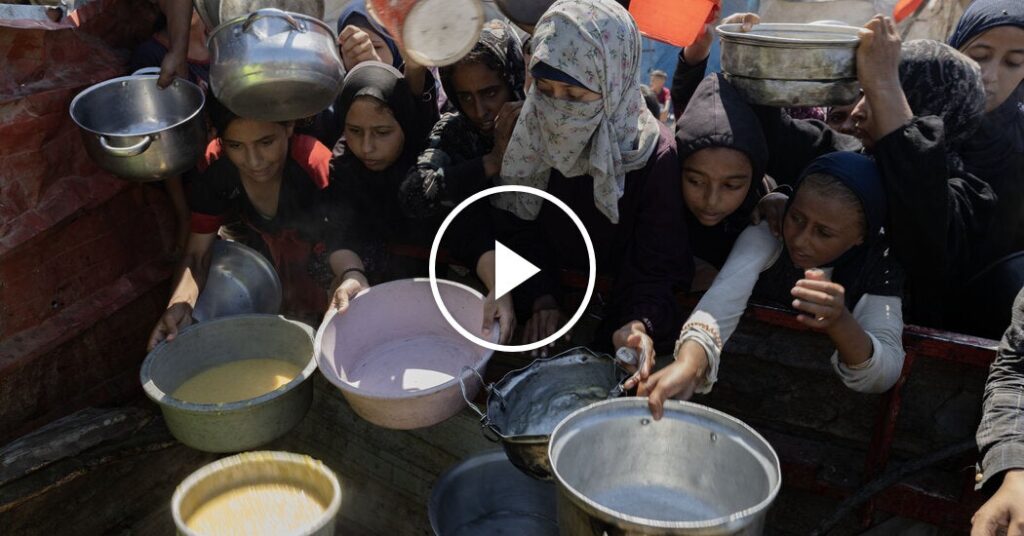 U.N.-Backed Experts Confirm Situation in Gaza City as Famine