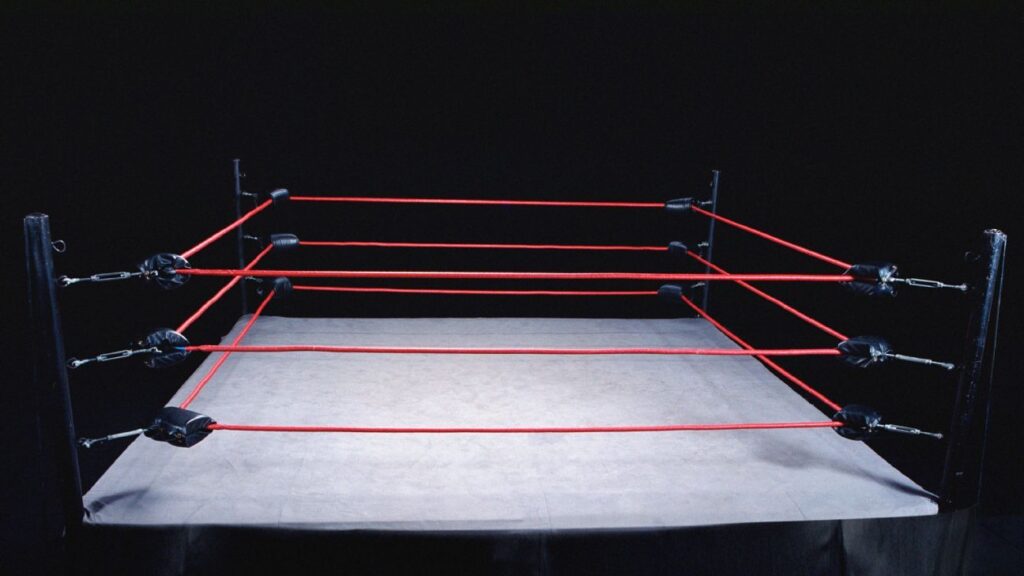 Video shows son of ex-UFC champ punching unconscious wrestler