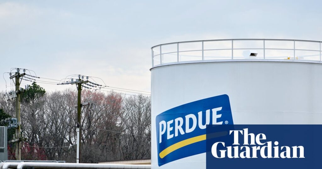 Waste from agricultural plant poisoned US town’s water with Pfas, lawsuits allege | Pfas