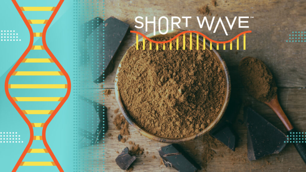 Weather's role in The Hershey Company's chocolate price increase : Short Wave : NPR