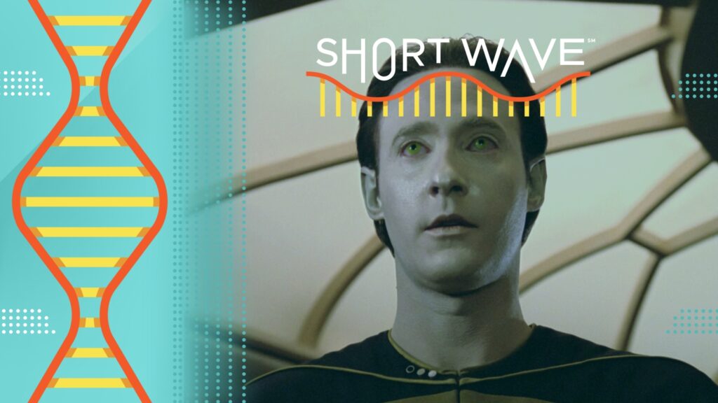 What makes 'life' so hard to define? A developmental biologist weighs in : Short Wave : NPR