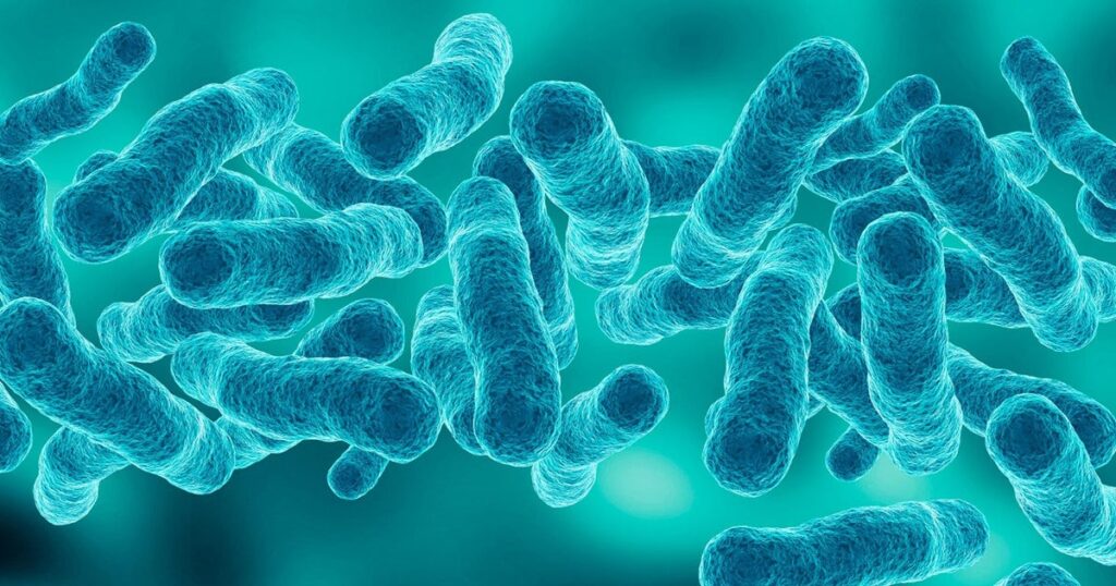 What to know about Legionnaires' disease outbreak in Harlem