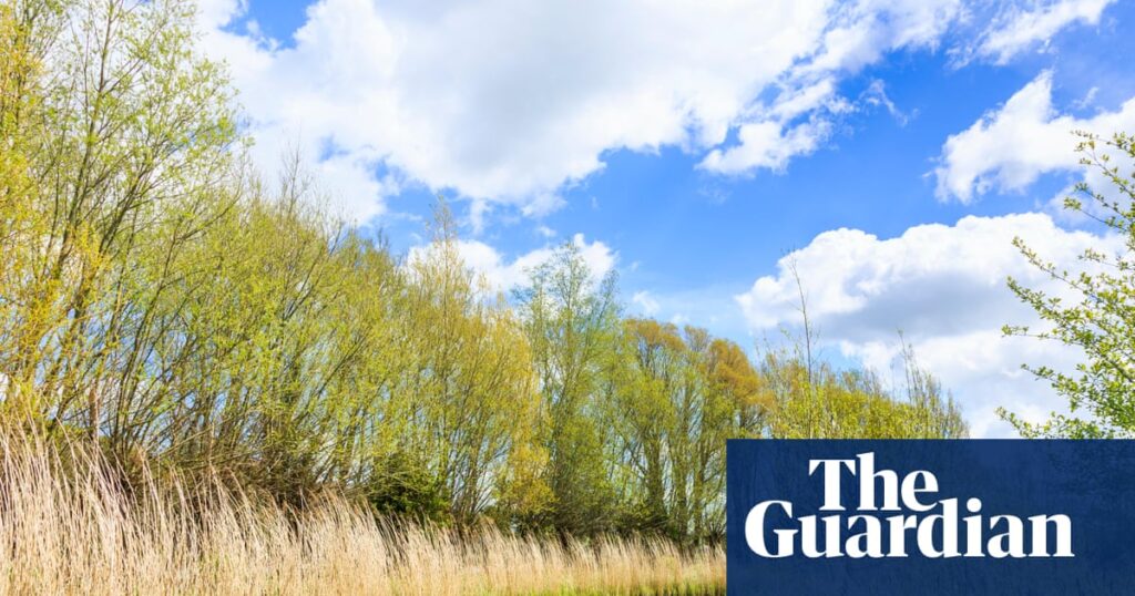 Wildlife has the right to roam our riverbanks too | Rivers