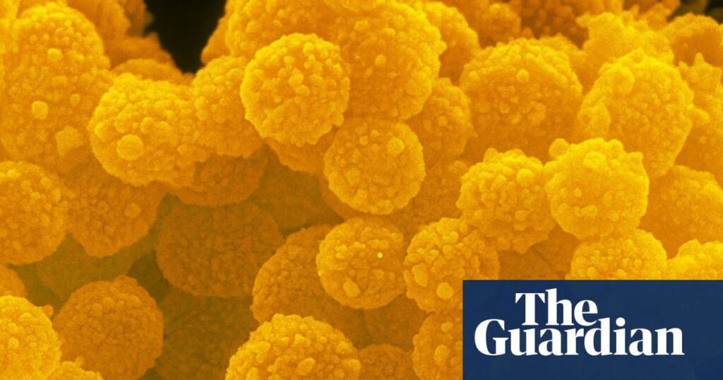 Zooming right in: the vivid landscapes revealed in nanophotography – in pictures