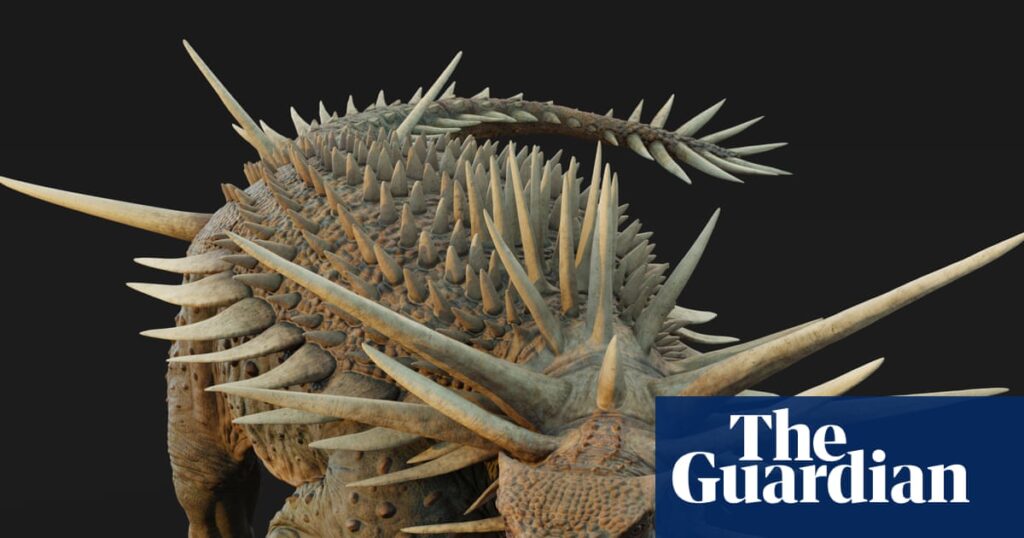 ‘Bristling with spikes’: oldest known ankylosaur fossil found in Morocco | Dinosaurs