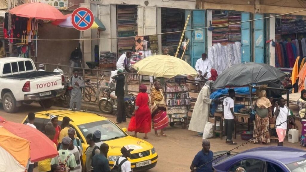 ‘Cut in secret’: Gambia anti-FGM activists fear babies targeted despite ban | Child Rights News