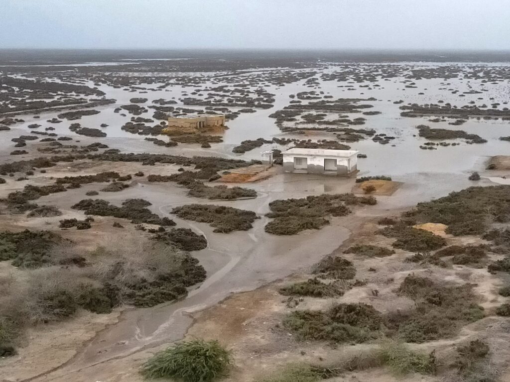 ‘Water has surrounded us’: The slow death of Pakistan’s Indus delta | Climate Crisis News