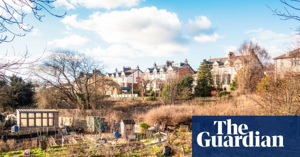 Allotments are a safe space in times of crisis | Allotments
