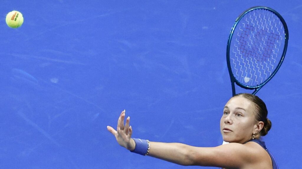 Anisimova 2.0: stronger, faster and resilient