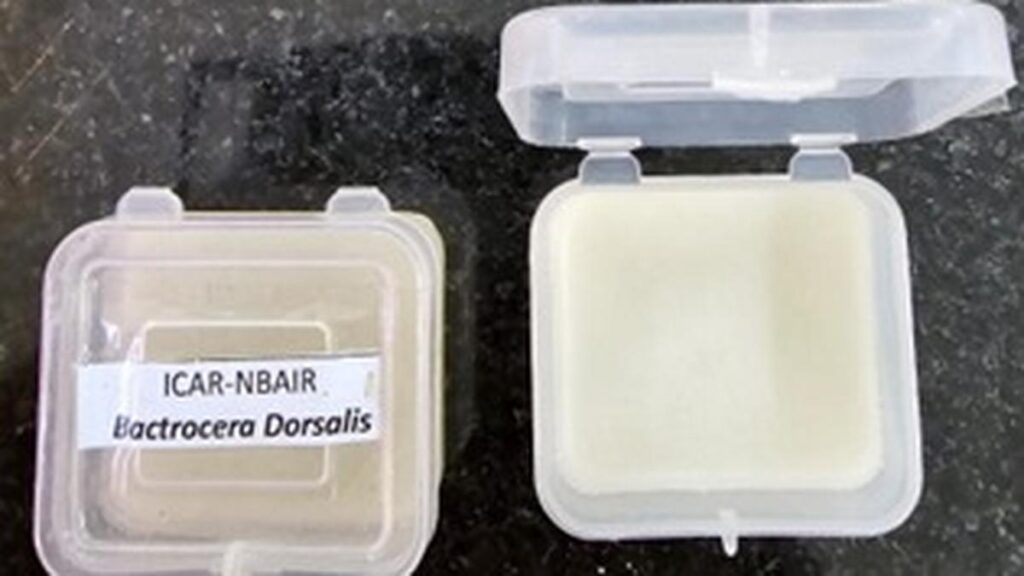 Bengaluru scientists develop affordable fruit fly trap; seek global patents