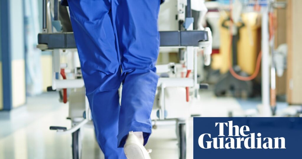 California nurses decry Ice presence at hospitals: ‘Interfering with patient care’ | Ice (US Immigration and Customs Enforcement)