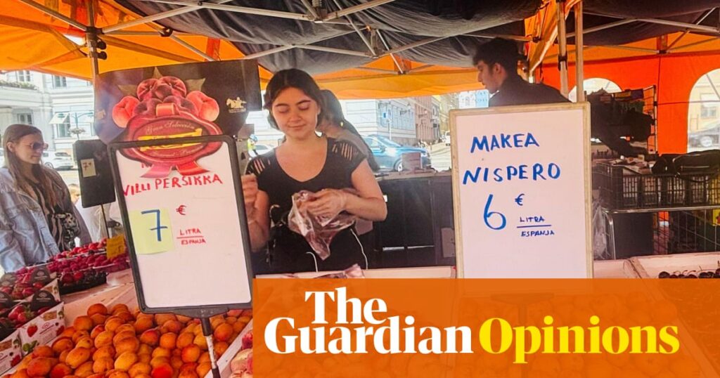 Finland is ready for the next crisis, with stockpiled food and 72-hour kits – Europe should be too | Miika Ilomäki