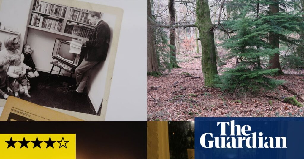 Hilary Lloyd review: on Dennis Potter’s trail through an enchanted forest of film | Installation