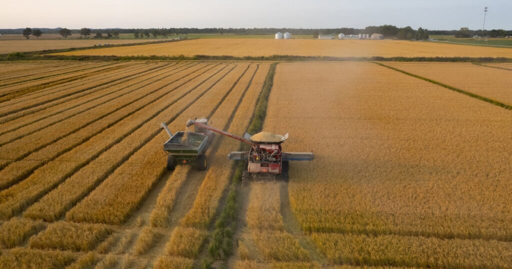 How an Illinois Farmer Turned Flooded Farmland Into Rice Paddies — ProPublica