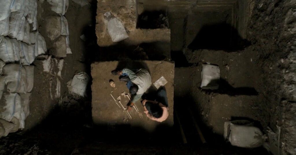 PBS series "Human" explores the journey of how we became who we are