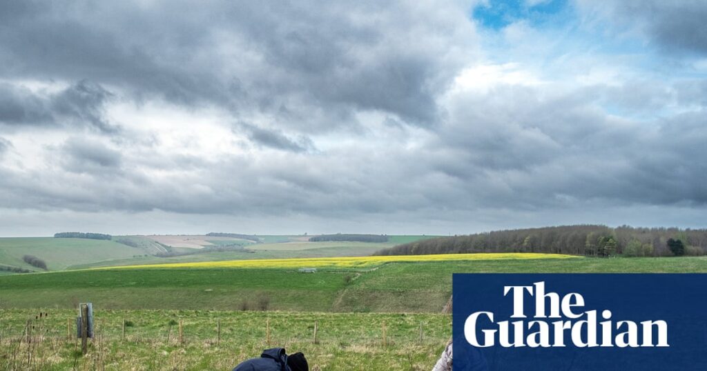 People gathered for great meat feasts at end of British bronze age, study shows | Archaeology