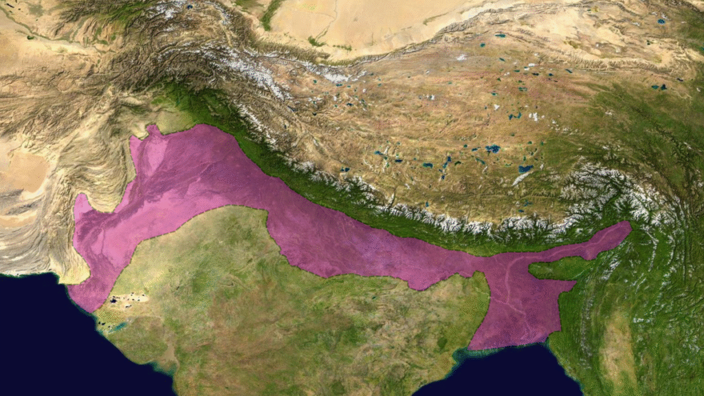 Rocks’ carbon storage capacity vastly overestimated: study