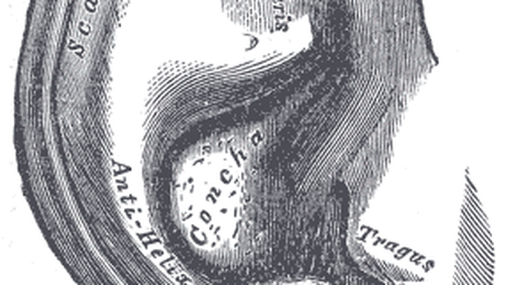 Science Quiz: When sound gets on the move