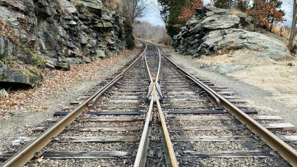 What is Parrondo’s paradox? – The Hindu What is Parrondo’s paradox? - The Hindu