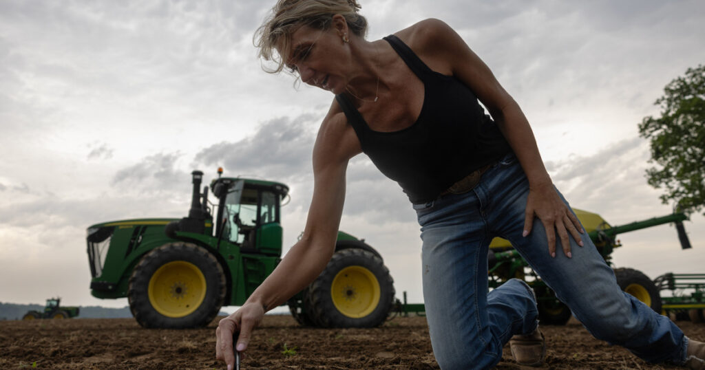 Why Some Illinois Farmers Are Stuck Raising Crops That No Longer Thrive — ProPublica Why Some Illinois Farmers Are Stuck Raising Crops That No Longer Thrive — ProPublica