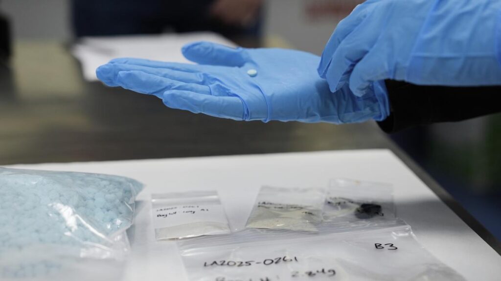 Why is India on the U.S. blacklist on fentanyl? | Explained