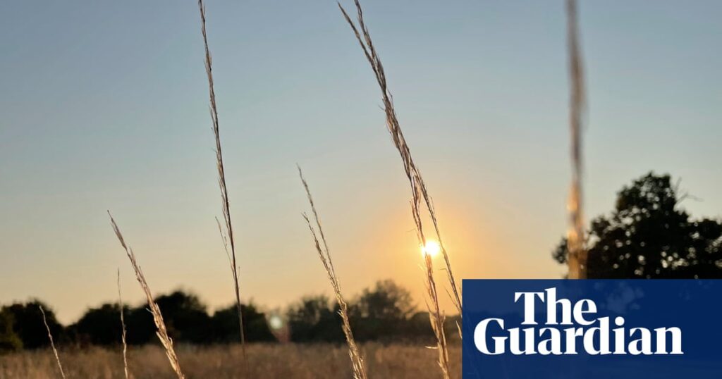 Why the autumn equinox isn’t actually when day and night are equal | Summer