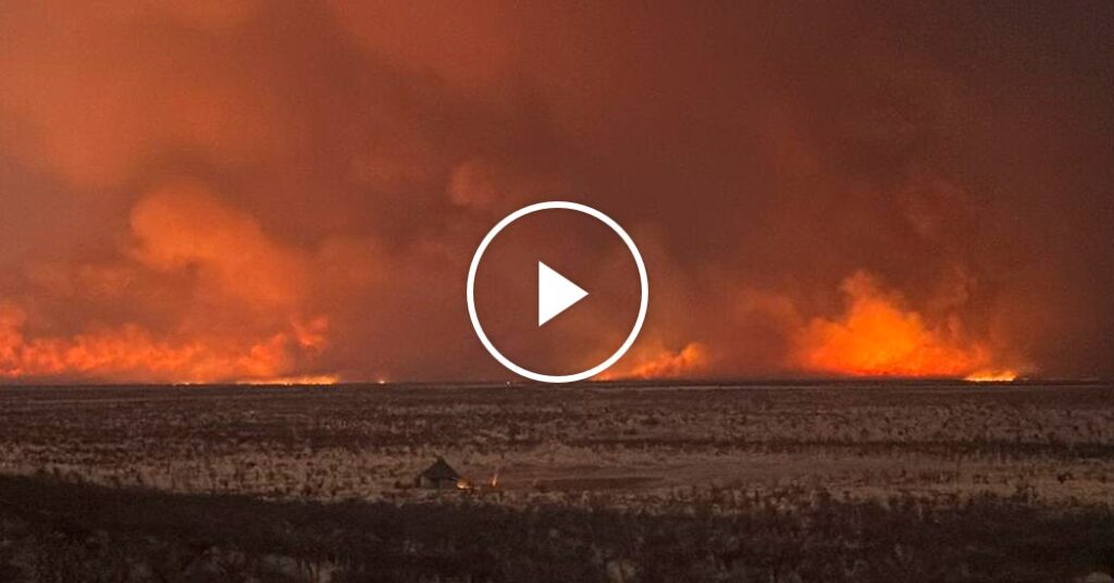 Wildfire Burns Over 1.9 Million Acres in Etosha National Park