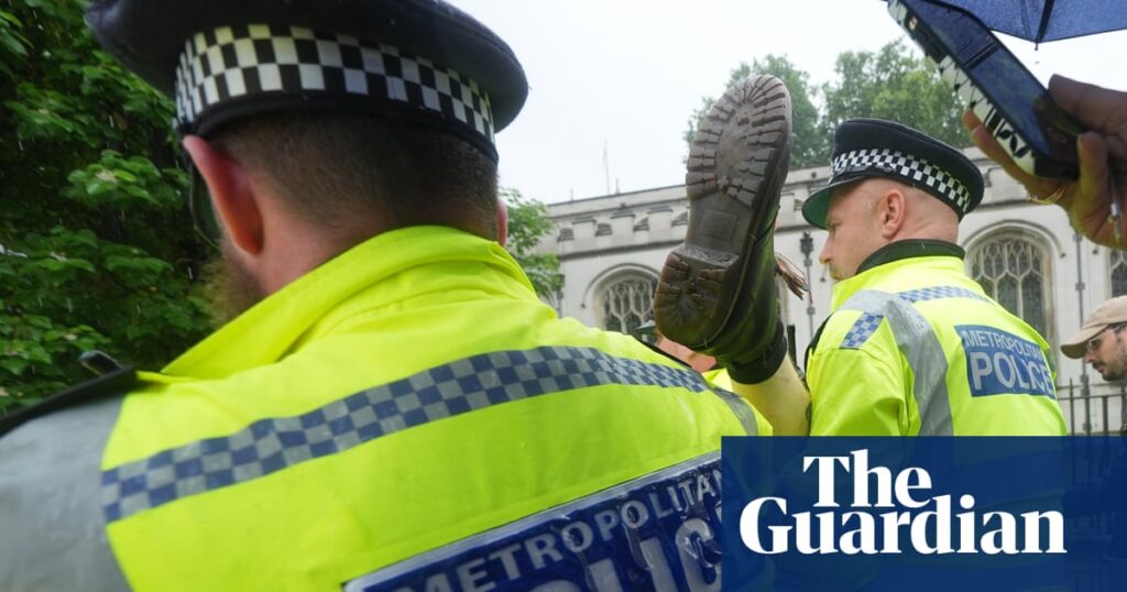 Woman, 81, among latest people charged over Palestine Action protests | UK news