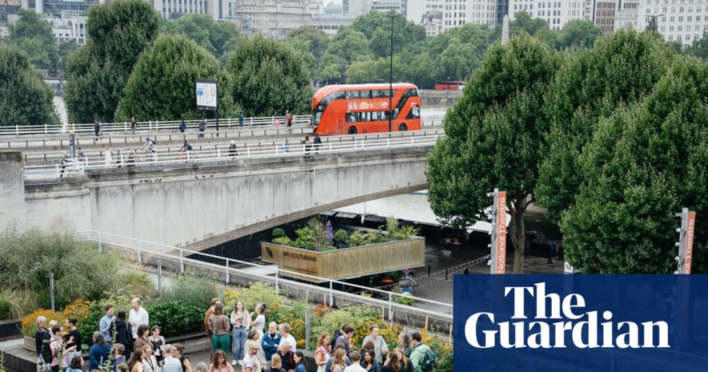 ‘A secret garden’: National Theatre turns roof into riot of colour with dye plants | National Theatre