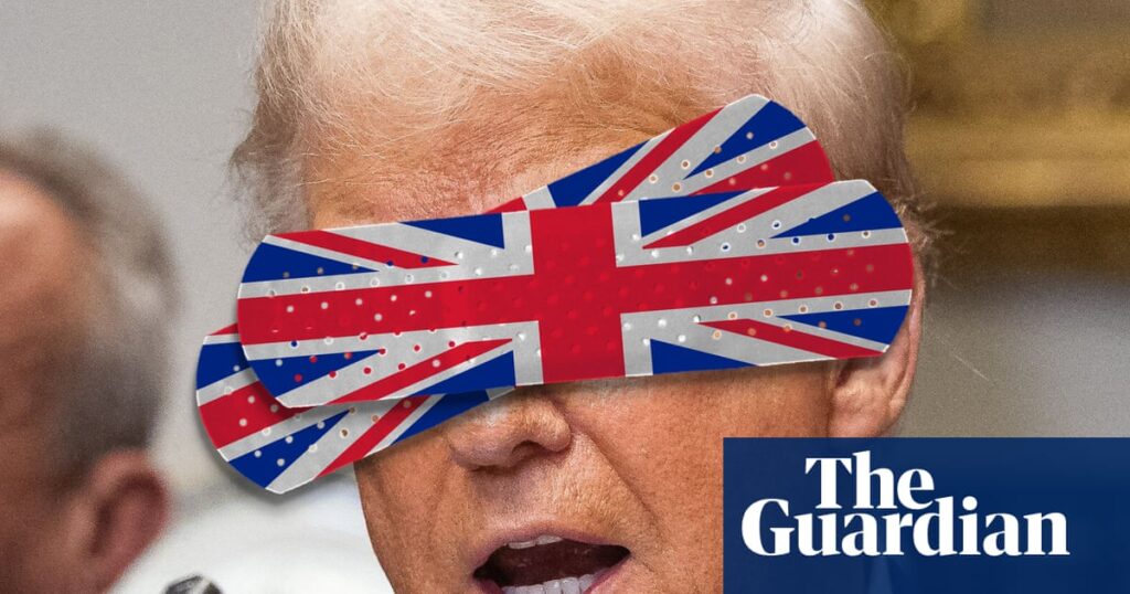 ‘Don’t trust Trump’: how UK health experts are fighting back against a war on medicine | Health
