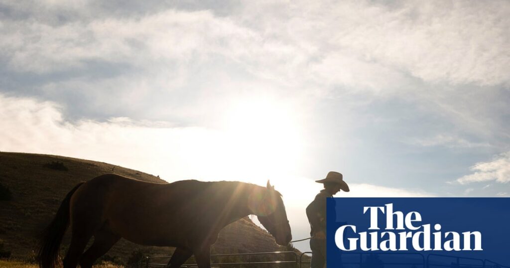 ‘This is the hardest I’ve ever lived’: meet the US cowgirls making it as ranchers | US news