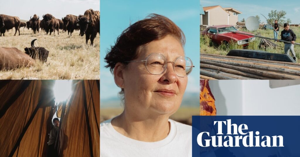 After centuries of trauma, Montana’s Blackfeet Nation turns to an old friend for food sovereignty: bison | Montana