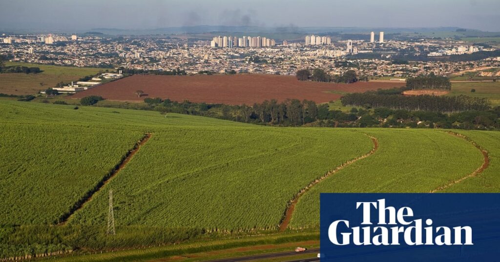 Brazil to ask countries at Cop30 to vastly increase biofuel use, leak suggests | Biofuels