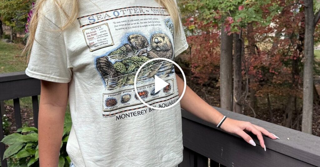 California Aquarium Raises Millions After Taylor Swift Wears Otter Shirt