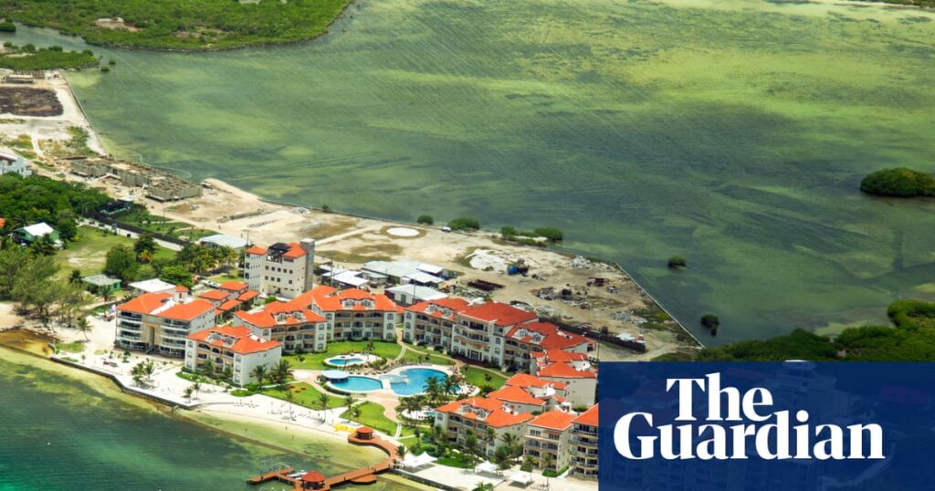 Caribbean nations launch EU-style deal to let citizens work freely across borders | Caribbean