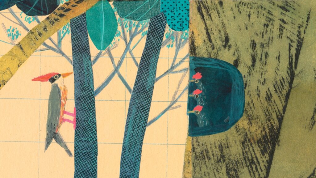 'Dear Acorn, (Love, Oak)' is a picture book of letter poems to friends : NPR