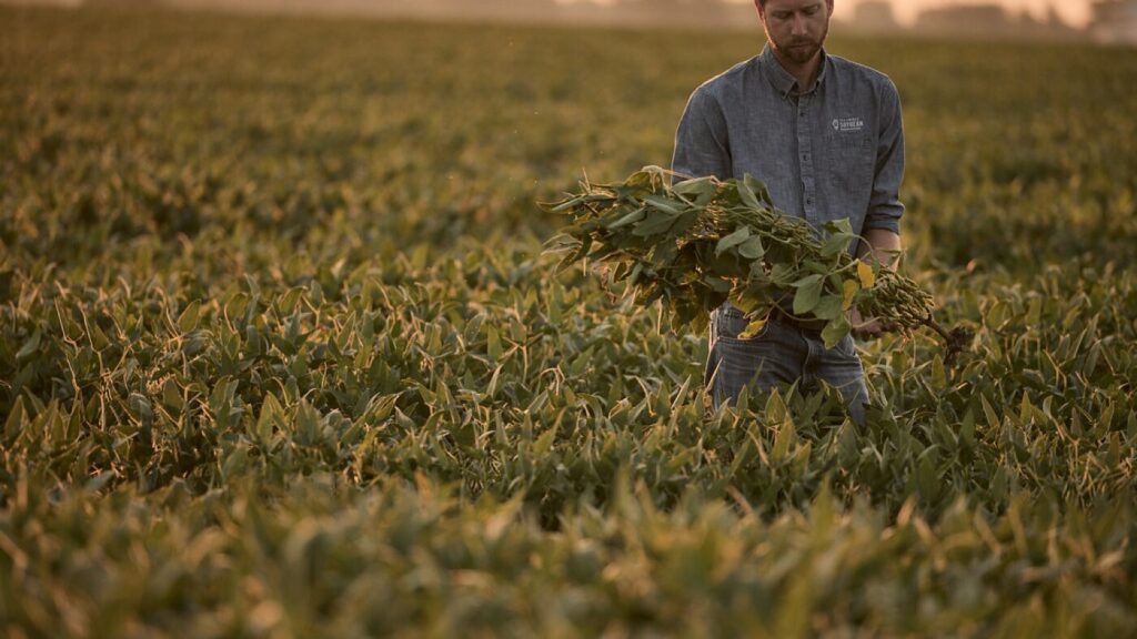 Farmers are hurting. Trump's trade war is making it worse : NPR