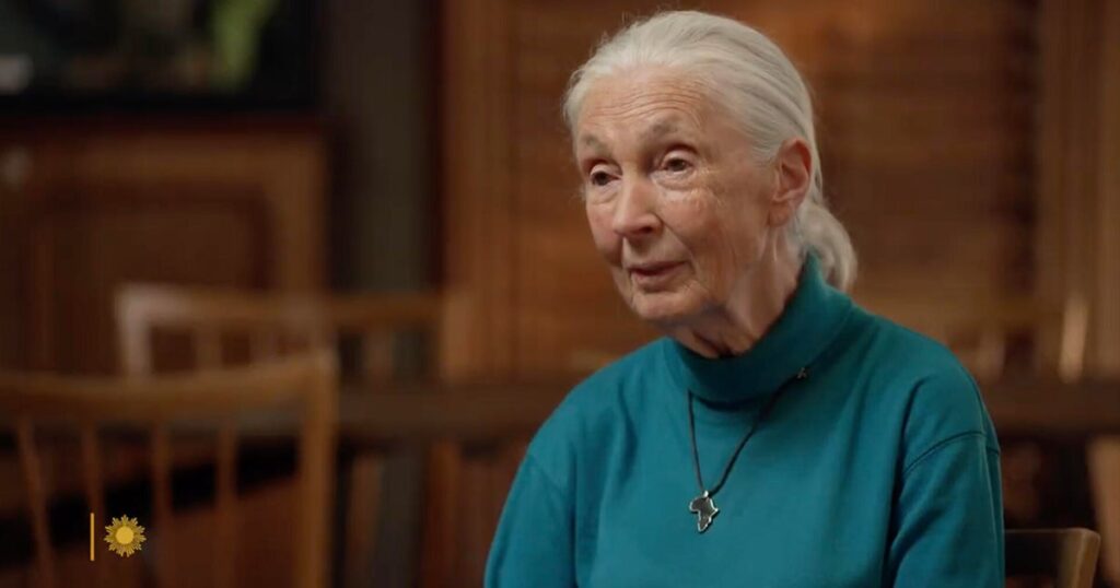 From the archives: Naturalist Jane Goodall