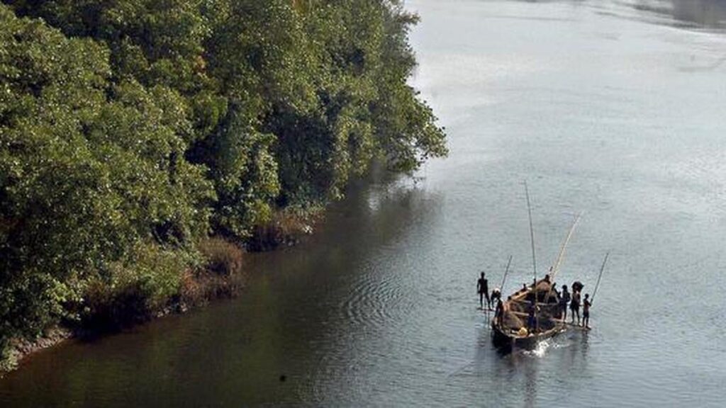 Microplastics threaten Goa’s estuarine fisheries, human consumers