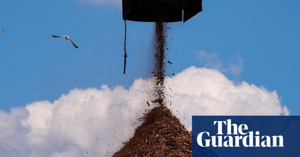 Mississippi residents sue UK-owned biomass firm granted permit for more emissions | Mississippi