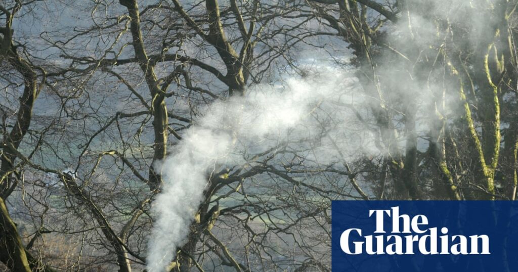 Only one prosecution made after 15,195 wood-burning complaints in a year in England | Air pollution Only one prosecution made after 15,195 wood-burning complaints in a year in England | Air pollution
