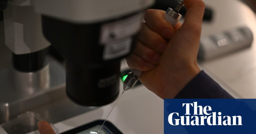 Patients go to court to stop embryos being destroyed after admin error | Fertility problems