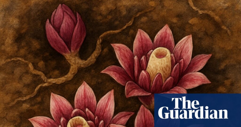 Plantwatch: An extraordinary orchid that lives and flowers underground | Plants