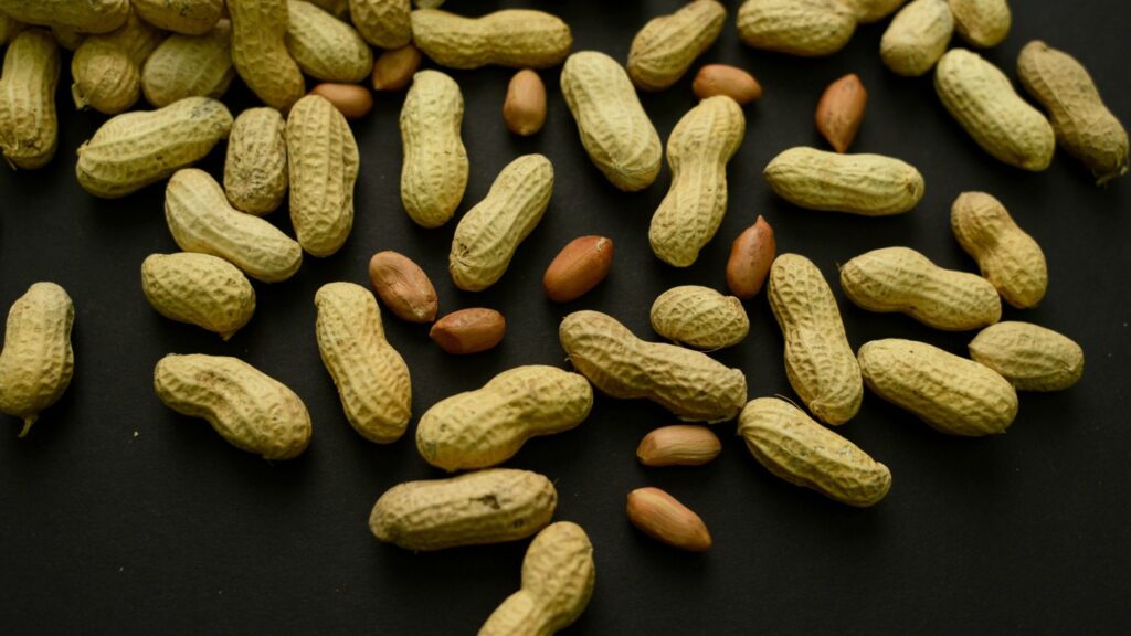Reversing peanut advice prevented tens of thousands of allergy cases, researchers say : NPR