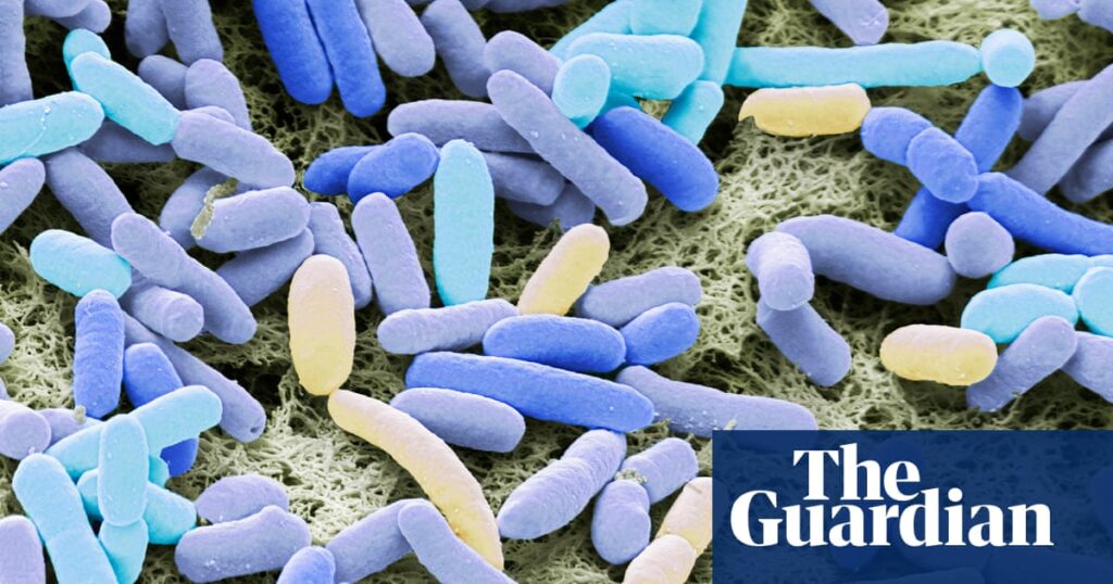 Sharp global rise in antibiotic-resistant infections in hospitals, WHO finds | World Health Organization