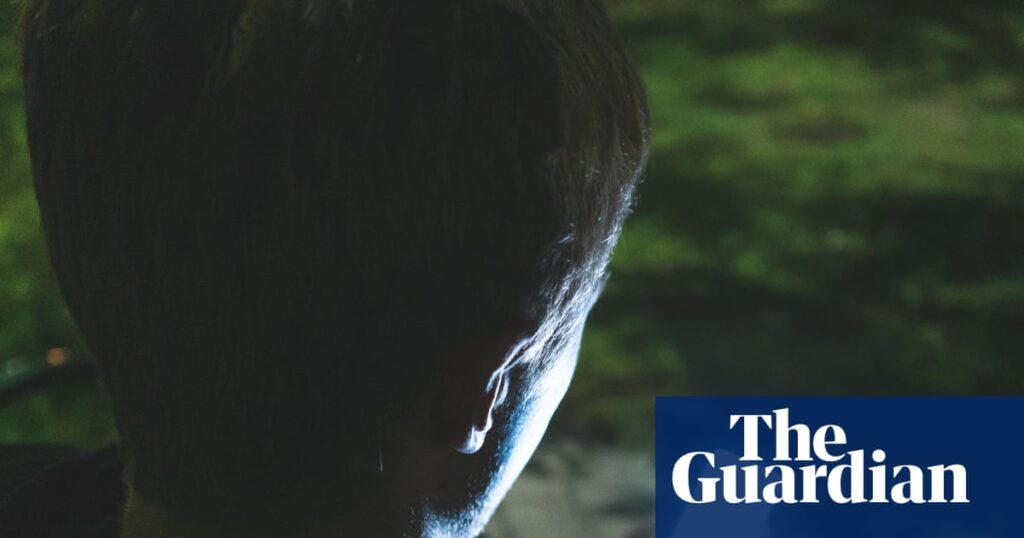 Teenage boys using ‘personalised’ AI for therapy and romance, survey finds | Artificial intelligence (AI)